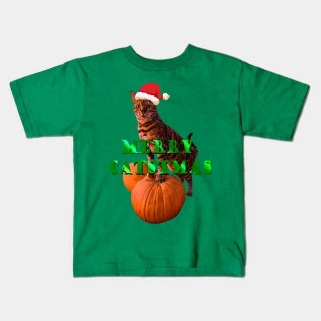 merry christmas with cat Kids T-Shirt by denpoolswag